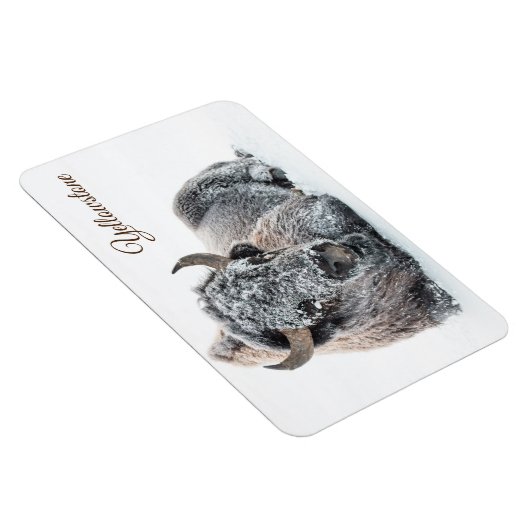 イエローストーンマグネットバッファロー マグネット (右側)