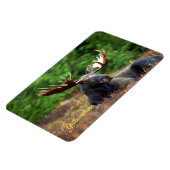 イエローストーンマグネットムース マグネット (左側)