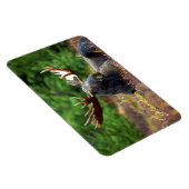 イエローストーンマグネットムース マグネット (右側)