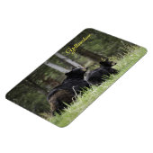 イエローストーンマグネット・ブラック・ベア マグネット (左側)