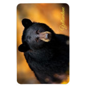 イエローストーンマグネット・ブラック・ベア マグネット (縦)