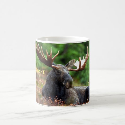 イエローストーンマグ コーヒーマグカップ (中央)