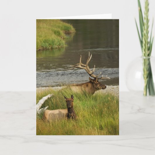 イエローストーンマースカード カード (正面)