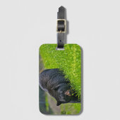 イエローストーンラゲッジタグブラックベア ラゲッジタグ (正面縦)