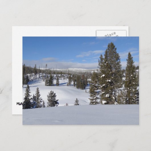 イエローストーン冬の風景写真 ポストカード (正面/裏面)