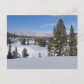イエローストーン冬の風景写真 ポストカード (正面)