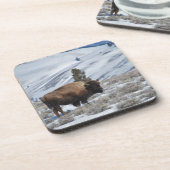 イエローストーン冬山のバイソン コースター (左側)