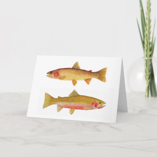 イエローストーン及びWestslopeのマス カード (正面)