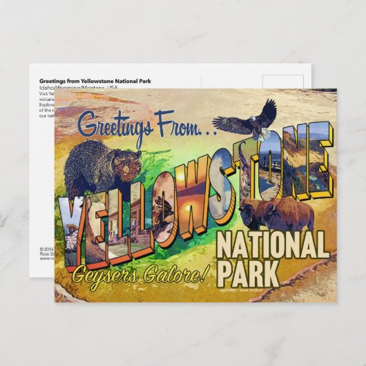 イエローストーン国立公園からの挨拶 ポストカード (正面/裏面)