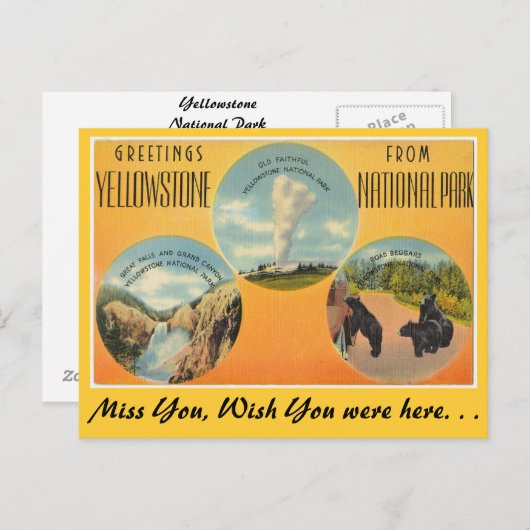 イエローストーン国立公園からの挨拶 ポストカード (正面/裏面)