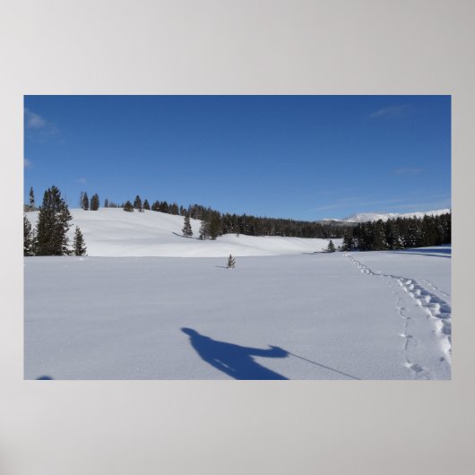 イエローストーン国立公園でのスノーシュー ポスター (正面)