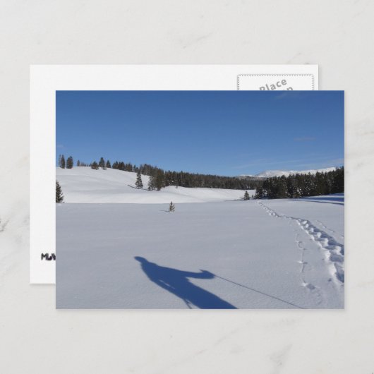 イエローストーン国立公園でのスノーシュー ポストカード (正面/裏面)