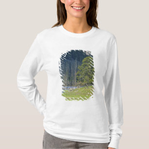 イエローストーン国立公園のアメリカバイソンと子 Tシャツ