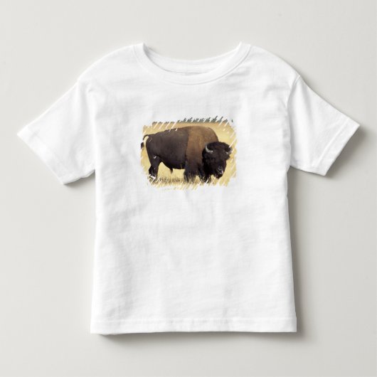 イエローストーン国立公園のアメリカバイソン雄 トドラーTシャツ (正面)