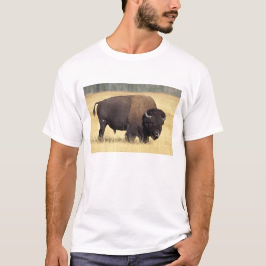 イエローストーン国立公園のアメリカバイソン雄 Tシャツ (正面)