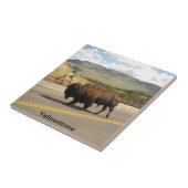 イエローストーン国立公園のタイル(2) タイル (側面)