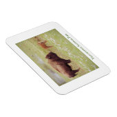 イエローストーン国立公園のマグネットとバイソン&カーフ マグネット (右側)