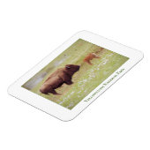 イエローストーン国立公園のマグネットとバイソン&カーフ マグネット (左側)