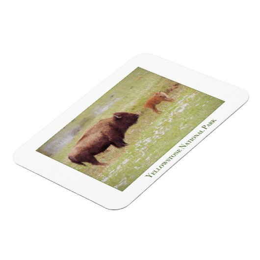 イエローストーン国立公園のマグネットとバイソン&カーフ マグネット (左側)