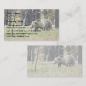 イエローストーン国立公園の分野の灰色グマ 名刺 (正面/裏面)