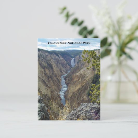 イエローストーン国立公園はがき ポストカード (スタンド正面)