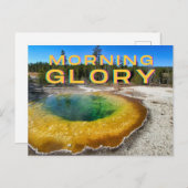 イエローストーン国立公園はがき ポストカード (正面/裏面)