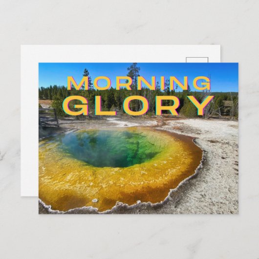 イエローストーン国立公園はがき ポストカード (正面/裏面)