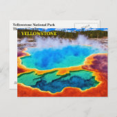 イエローストーン国立公園はがき ポストカード (正面/裏面)