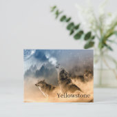 イエローストーン国立公園はがき ポストカード (スタンド正面)