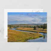 イエローストーン国立公園エルク ポストカード (正面/裏面)