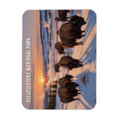 イエローストーン国立公園バイソン マグネット (縦)