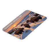 イエローストーン国立公園バイソン マグネット (左側)