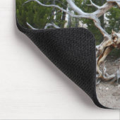 イエローストーン国立公園マウスパッド マウスパッド (コーナー)