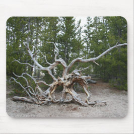 イエローストーン国立公園マウスパッド マウスパッド