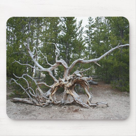 イエローストーン国立公園マウスパッド マウスパッド (正面)