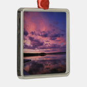 イエローストーン国立公園ワイオミング州米国 メタルオーナメント (右)