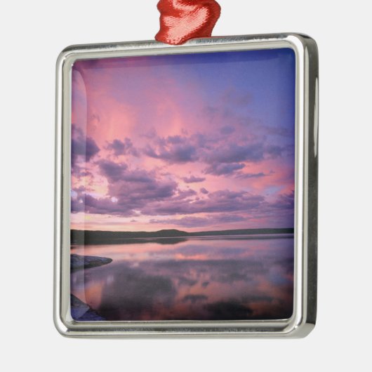 イエローストーン国立公園ワイオミング州米国 メタルオーナメント (左)