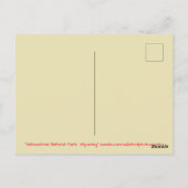 イエローストーン国立公園ワイオミング ポストカード (裏面)