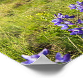 イエローストーン国立公園ワイルドフラワーランドスケープ ポスター (角)