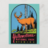 イエローストーン国立公園ヴィンテージ旅行はがき ポストカード (正面)