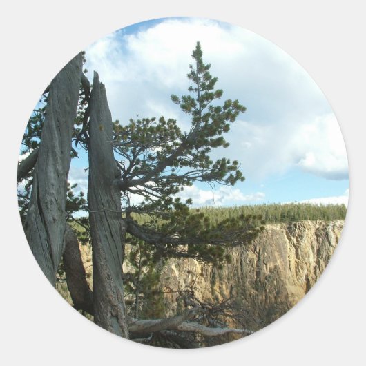 イエローストーン国立公園写真 ラウンドシール (正面)