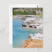 イエローストーン国立公園温泉 ポストカード (正面/裏面)