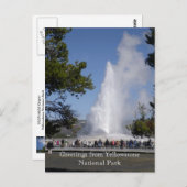 イエローストーン国立公園葉書からの挨拶 ポストカード (正面/裏面)