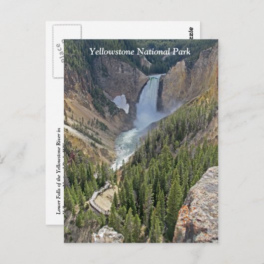 イエローストーン国立公園風景表示はがき ポストカード (正面/裏面)