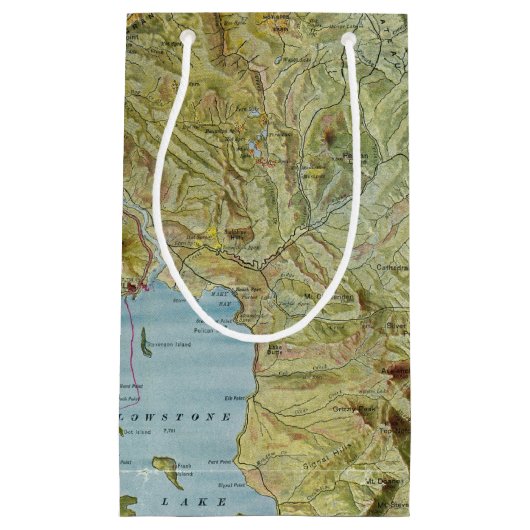 イエローストーン国立公園2 スモールペーパーバッグ (正面)