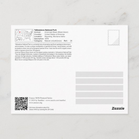 イエローストーン国立公園 – アメリカンバイソン ポストカード (裏面)