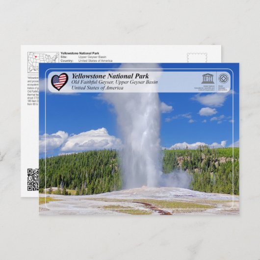 イエローストーン国立公園 – オールド忠実なゲーザー ポストカード (正面/裏面)
