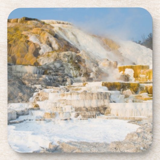 イエローストーン国立公園 コースター (正面)