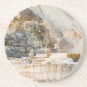 イエローストーン国立公園 コースター (正面)