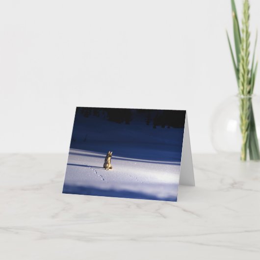 イエローストーン国立公園 シーズンカード (正面)